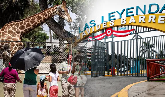 Fiestas Patrias en el Parque de las Leyendas: conciertos, talleres y shows gratis este 28 y 29 de julio