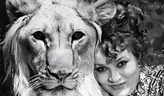 El triste final del león criado por una familia en la URSS: se convirtió en estrella de cine y luego provocó una tragedia