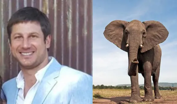 Muere millonario dueño de safari tras ser atacado y pisoteado por un elefante en Sudáfrica