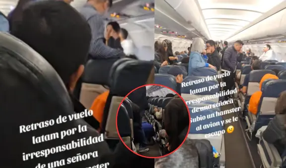 Señora sube hámster a un avión, pero se le escapó y retrasó vuelo de Latam: "No quería volar"