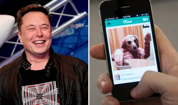 Elon Musk quiere revivir Vine, el antecesor de TikTok: "Lo traeremos de vuelta, pero en forma de IA"