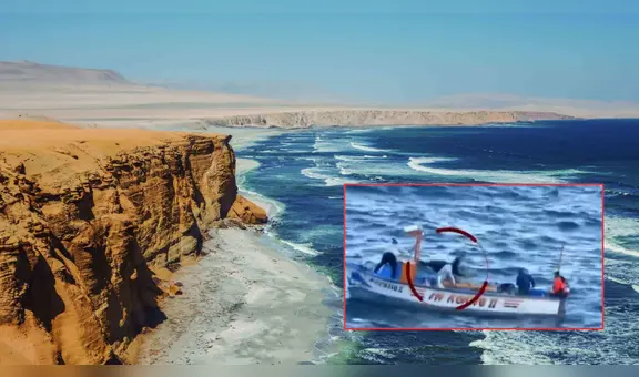 Pescadores asesinan a lobo marino que se quedó enredado en malla de pescar en la Reserva Nacional de Paracas