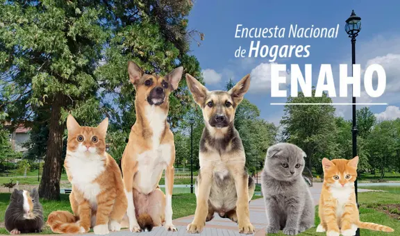 INEI incluirá por primera vez módulo sobre mascotas y su cuidado en Perú en la ENAHO 2025: estas serán las preguntas