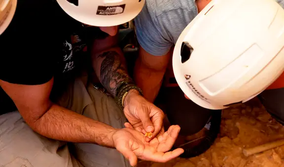 Arqueólogos encuentran cortes en los huesos de un niño que confirman el canibalismo en Europa hace 850.000 años