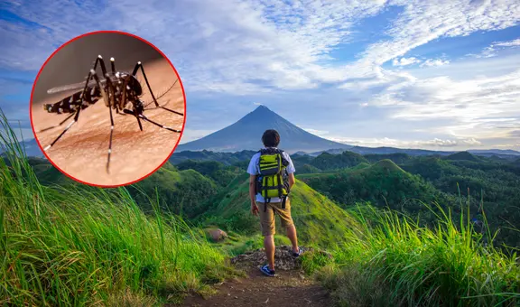 Minsa recomienda medidas clave contra el dengue para quienes viajen por Fiestas Patrias