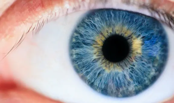 Descubren nuevo color que no se puede percibir de manera natural por el ojo humano: solo 5 personas lo han visto