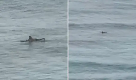 Video capta a surfista en busca de olas del tsunami en Hawái en pleno estado de emergencia en EEUU