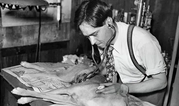 El siniestro caso de Robert Cornish, el científico que logró revivir perros y que quiso intentarlo en humanos