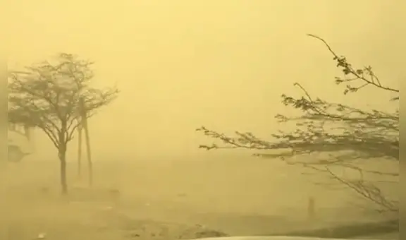 Vientos de Paracas: Senamhi revela causas del fenómeno que impactó la costa peruana y hasta cuándo se extenderán