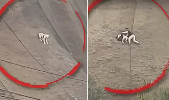 Hombre desafió el peligro y salvó a perrito que quedó atrapado en acantilado en San Miguel