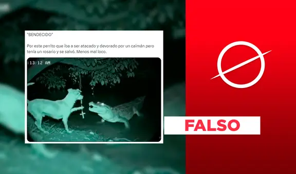Este perro no se enfrentó a un caimán con un rosario: se trata de un montaje