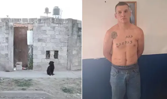 Hombre alimentaba a sus perros con restos humanos en Argentina: se trataría de un presunto asesino serial