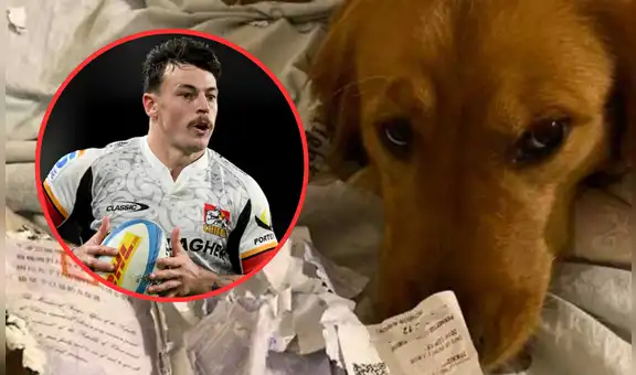 Deportista casi pierde la oportunidad de viajar y participar en un campeonato por su mascota: “El perro se comió mi pasaporte”