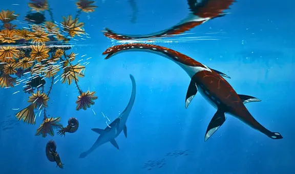 Científicos identifican una nueva especie de dinosaurio marino que vivió hace 183 millones de años