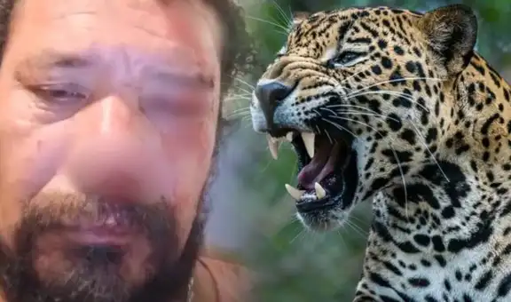 Hombre sufre ataque feroz de un jaguar por salvar a sus perros en Brasil: las mascotas murieron