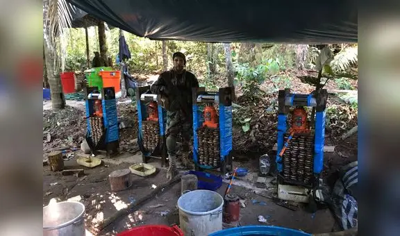 Vraem: Mafias del narcotráfico pierden S/ 381 millones por operaciones antidrogas