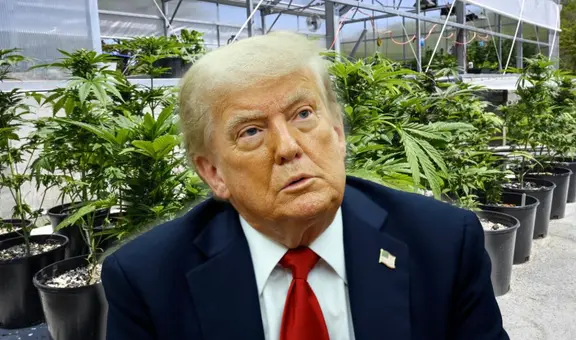 Donald Trump evalúa reclasificar la marihuana como una droga menos peligrosa en EEUU, según Wall Street Journal