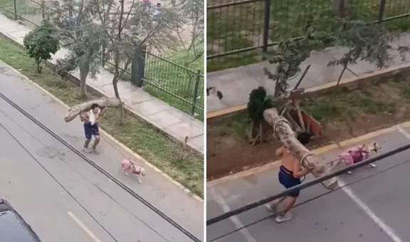 Hombre entrena cargando un tronco en su espalda mientras su perro lo jala y comentarios en TikTok estallan: “Está entrenando para semana santa”
