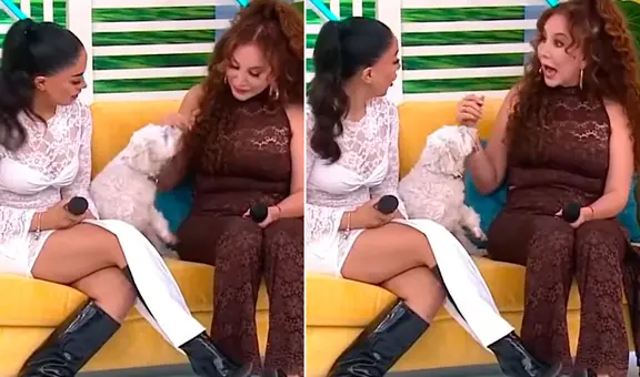 Perro de Onelia Molina muerde a Janet Barboza durante programa en vivo de 'América hoy': conductora tuvo impensada reacción