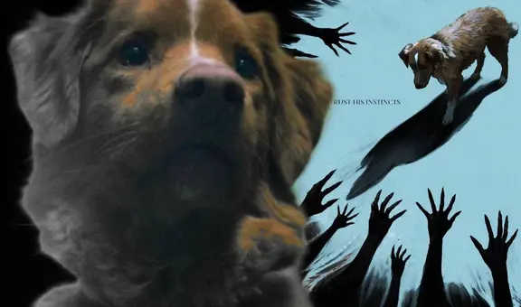 La inquietante película de terror con un perro protagonista que busca salvar a su dueño de una presencia fantasmal