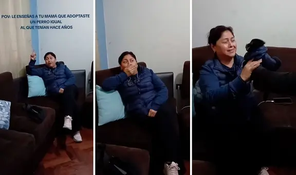 Joven adopta perrito parecido al que su mamá tenía y ella se enamora al verlo: "La nueva bendición"