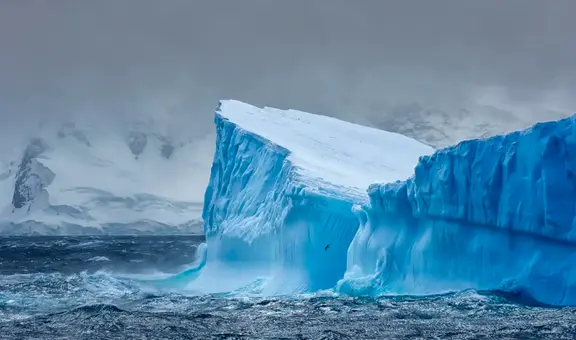 Un hallazgo sorprendió a los científicos de la Antártida al explorar debajo de un iceberg de 30 km desprendido