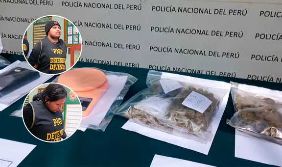 Tacna: capturan a 'Los pitufos' con invernadero de hongos alucinógenos