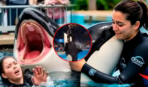 ¿Es real la historia de Jessica Radcliffe? La verdad detrás del video viral de su supuesta muerte tras ataque de una orca