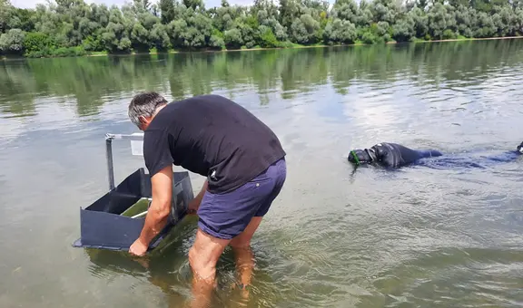 Arqueólogos descubren un tesoro de lingotes de la Edad del Hierro que estuvo oculto bajo un río durante más de 2.000 años