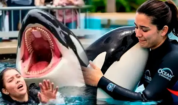 ¿Es real la historia de Jessica Radcliffe? La verdad detrás del video viral de su supuesta muerte tras ataque de una orca