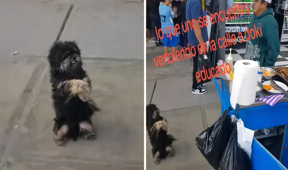 Perrito conmueve al ‘suplicar’ por un poquito de comida a ambulante: "Una bañadita y me lo llevo"