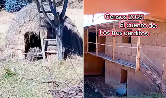 Censista encuentra la casa de ‘los 3 cerditos’ durante Censo 2025 y en redes bromean: “Si no le abren, soplará y soplará”