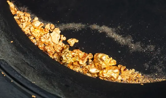 Geólogos canadienses descubren un yacimiento de oro de alto grado en una selva inexplorada de Sudamérica