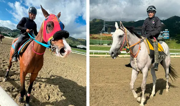 Datos de última hora Hipódromo La Rinconada hoy, domingo 17 de agosto: favoritos de la cátedra, pronósticos 5y6 y líneas de la R31