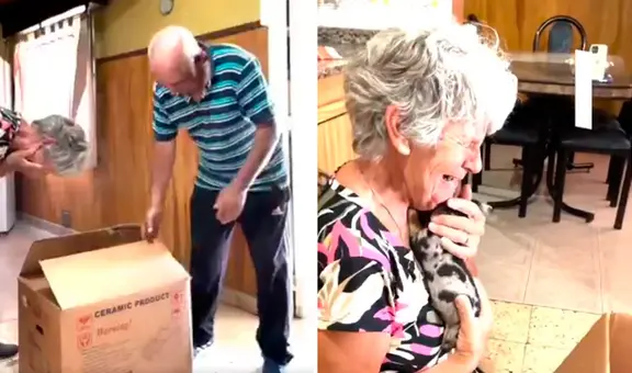 Abuelitos conmueven a redes tras recibir un perrito idéntico al que acababan de perder: "Él no se fue, renació"