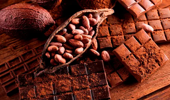 Científicos descubren que el delicioso sabor del chocolate se debe a microbios presentes en la fermentación del cacao