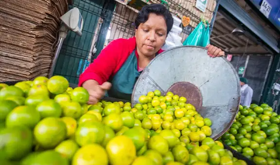 Precio del limón sube y podría llegar a costar 10 soles en septiembre, advierten agricultores: crisis hídrica sería el factor del desabastecimiento