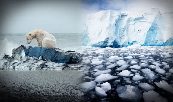 Antártida en fase crítica: cambios "abruptos" acelerados por el clima traería consecuencias catastróficas en el mundo, según investigadores