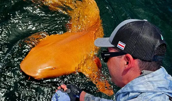 Un extraño tiburón de piel naranja y ojos blancos es descubierto por pescadores en el mar del Caribe