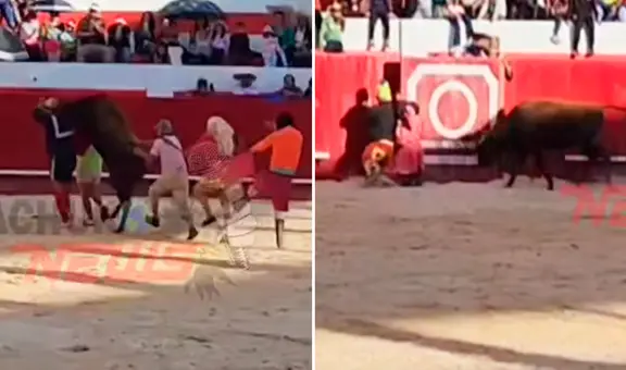 Payasito queda inconsciente tras ser embestido por una vaca durante show en Plaza de Toros de Huamachuco