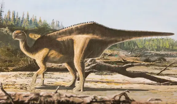 Científicos descubren una nueva especie de dinosaurio con una estructura dorsal en forma de vela en su espalda