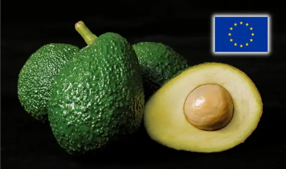 Palta peruana bajo lupa en la Unión Europea y Chile: detectan alto niveles de cadmio en exportaciones del "oro verde"