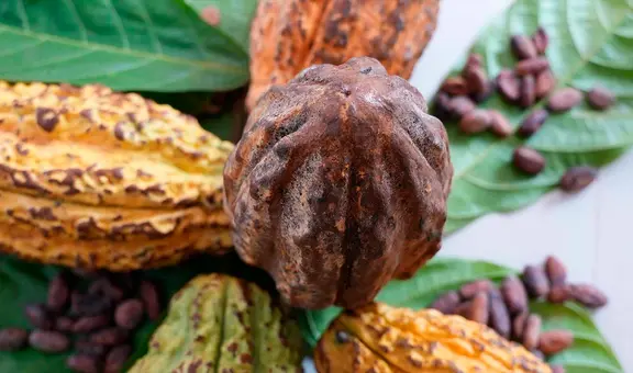 Este país de Sudamérica es el segundo mayor exportador de cacao en el mundo con más de US$1.300 millones en 2025