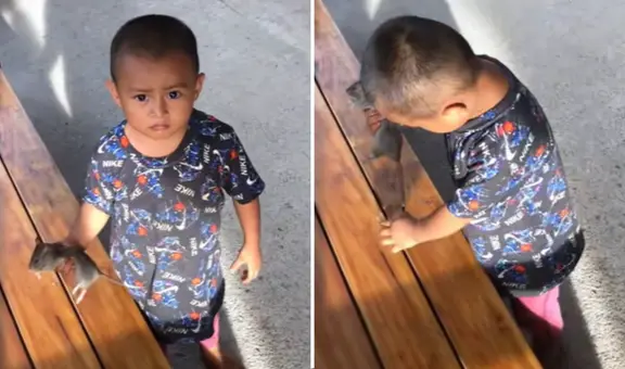 Niño se vuelve viral por jugar con rata y usuarios reaccionan: “Al fin un pequeño sin celular”