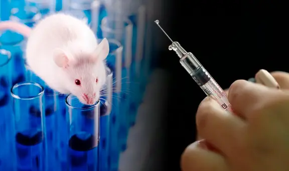 Científicos usan hilo dental en ratones y terminan creando una posible alternativa sin agujas a las vacunas