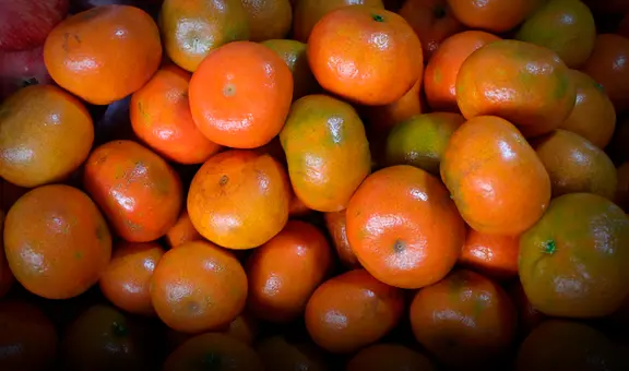 Este país de Sudamérica es el principal exportador de mandarina en la región y el séptimo en el mundo con 64 millones de dólares en lo que va del 2025