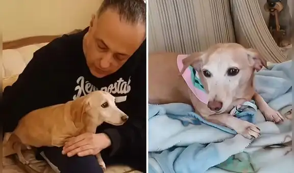 Hombre con discapacidad visual se vuelve viral al reencontrarse con su perro de servicio tras meses de búsqueda: emotiva historia conmueve en redes