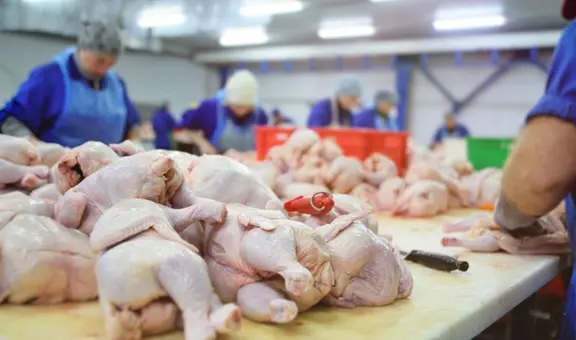 Pollo peruano al mundo: Perú vuelve a exportar aves tras recuperar estatus libre de Influenza Aviar