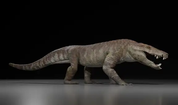 Paleontólogos descubren el fósil del 'cocodrilo feroz' más antiguo de Sudamérica: cazaba dinosaurios hace 70 millones de años