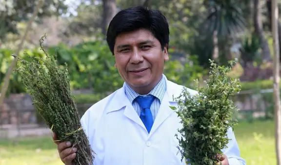 Mario Carhuapoma, científico de San Marcos: “El agua de muña ataca directamente a este microorganismo (bacteria responsable de la gastritis)"